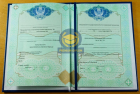 Магистр 2009 - 2025 Магистр 2009 - 2025