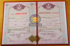 Специалист 2009-2025 с отличием Специалист 2009-2025 с отличием