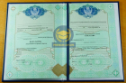 Бакалавр 2009 - 2025 Бакалавр 2009 - 2025