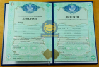 Техникум 2009-2025 Техникум 2009-2025